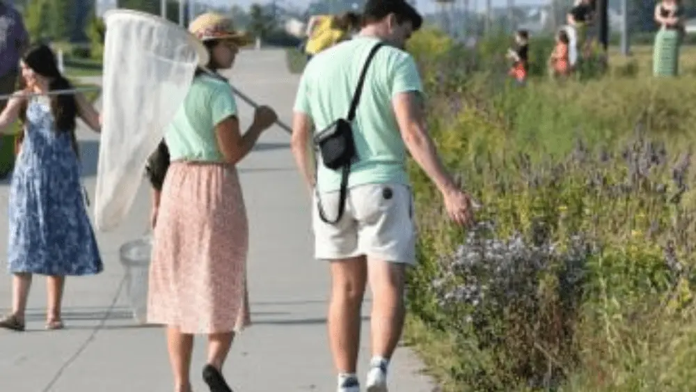 Image of people walking in a park