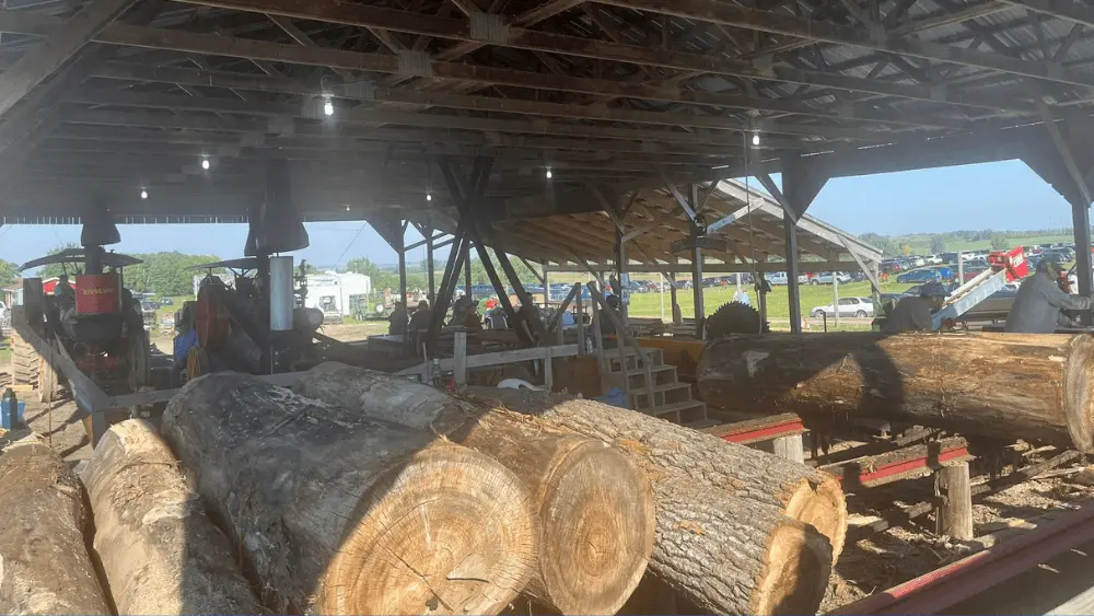 Logging