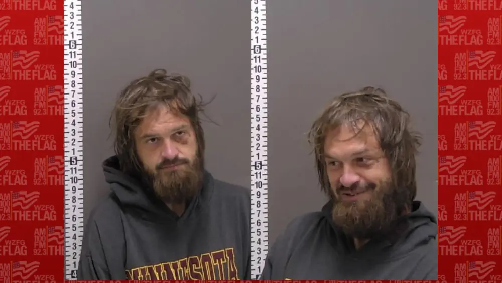 Mugshot of Sean Ferguson