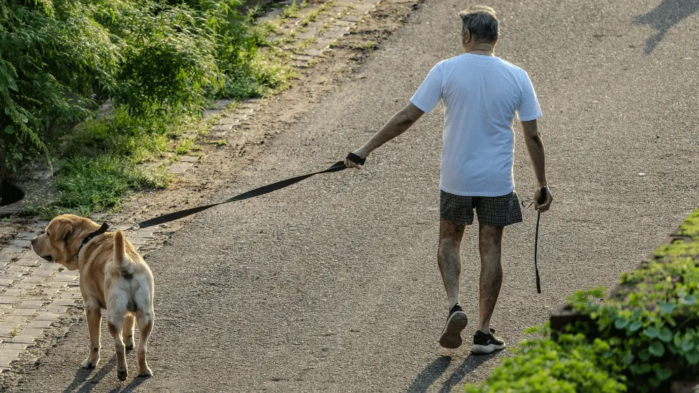 Image of man walking his dog