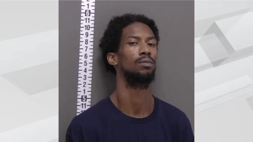 Mugshot of Damon Pippen