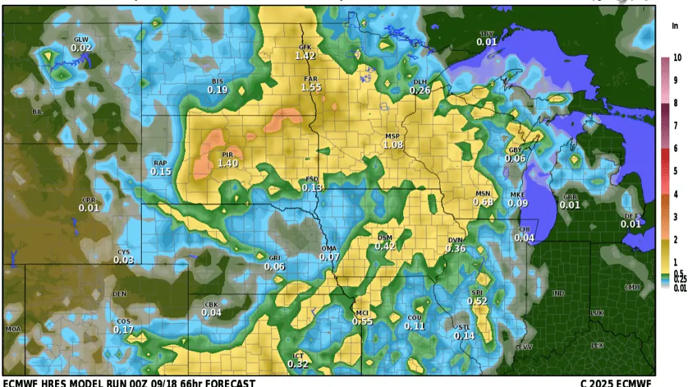 rain