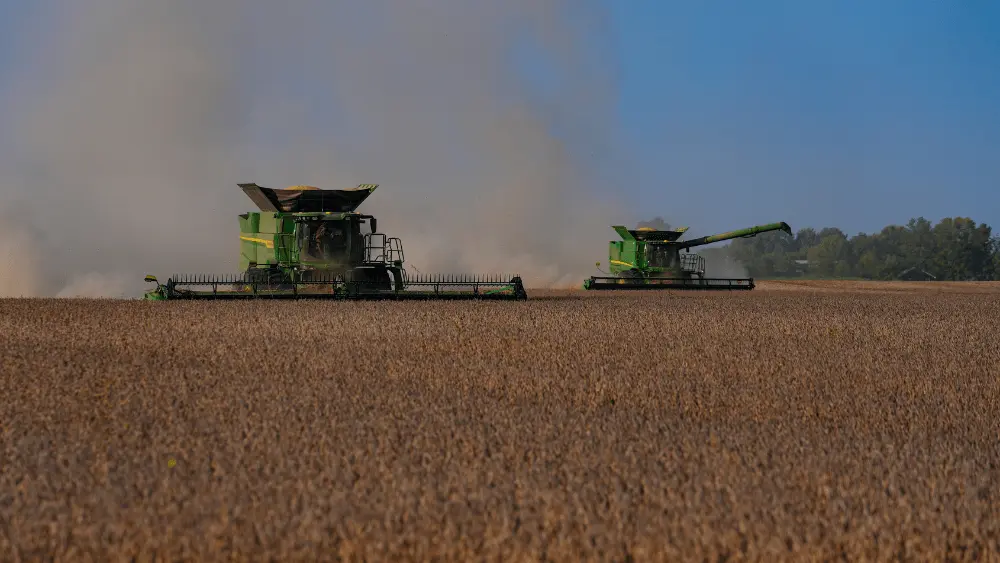 Image of soybean harvesting