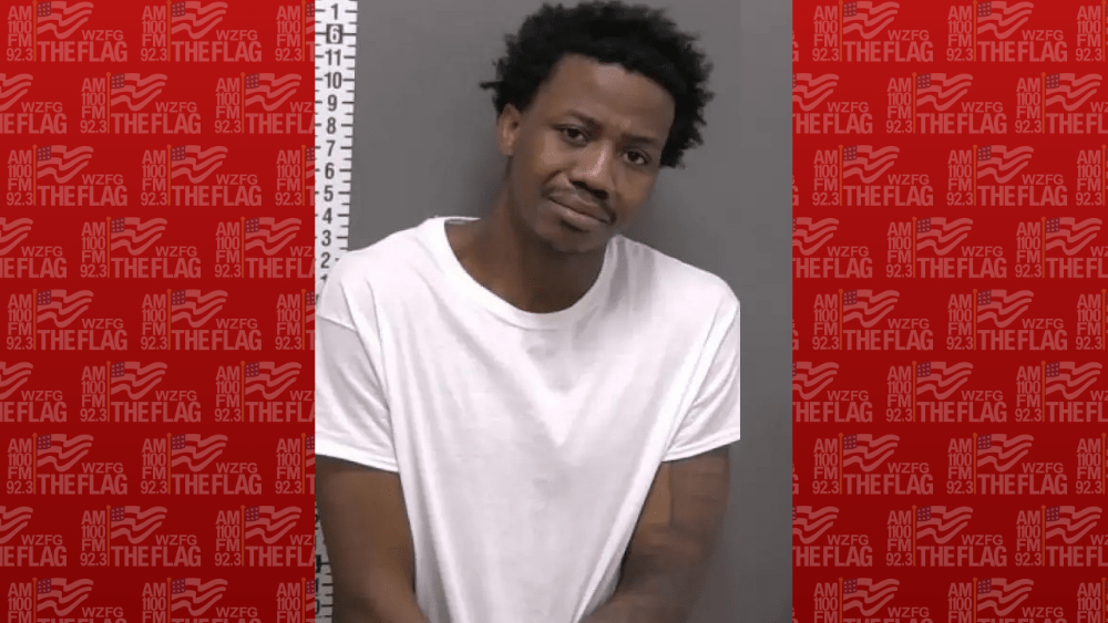 Horace man pleads guilty to manslaughter in girlfriend's shooting death