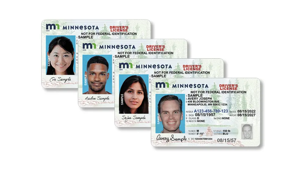Minnesota drivers licenses