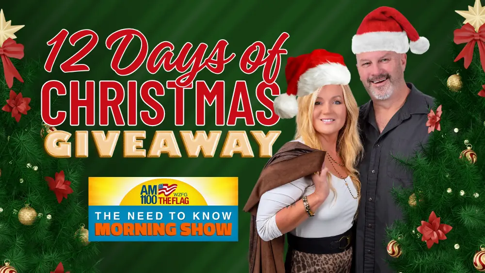 12 Days of Christmas (N2K)