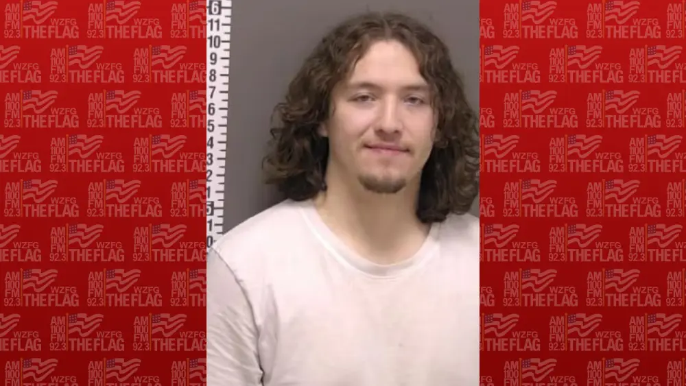 Mugshot of Damon Peterson