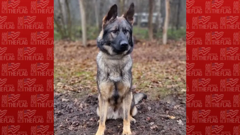 Polk County K9 Bo