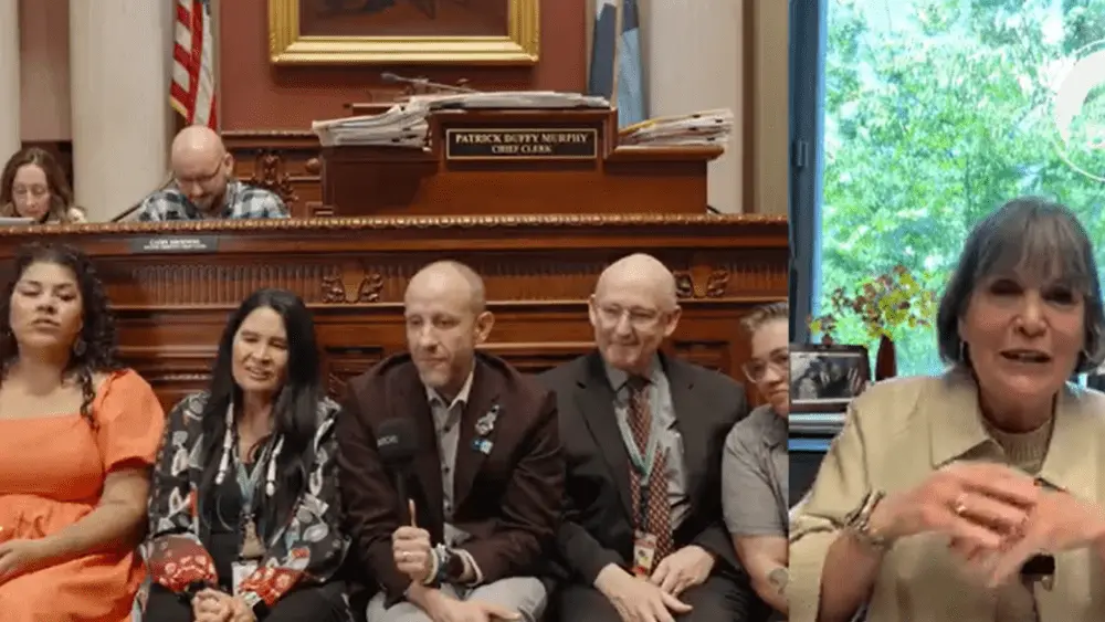 Minnesota House sit-in
