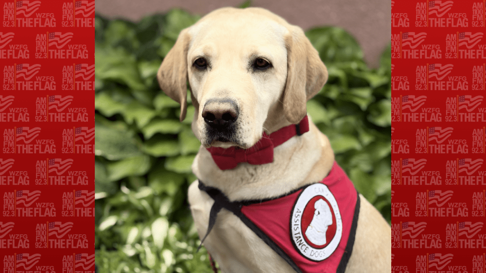 Clay County Attorney's Office welcomes facility dog, Edison