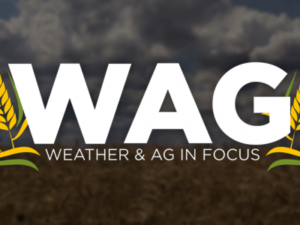 weather-ag-focus