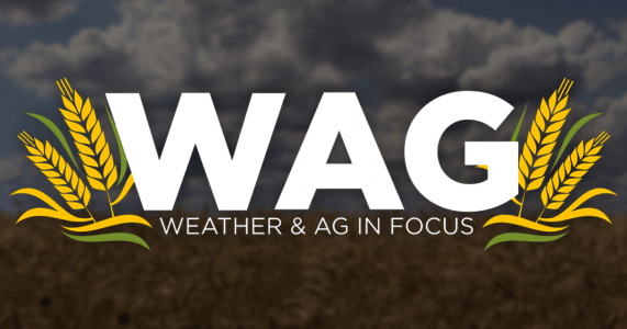 weather-ag-focus