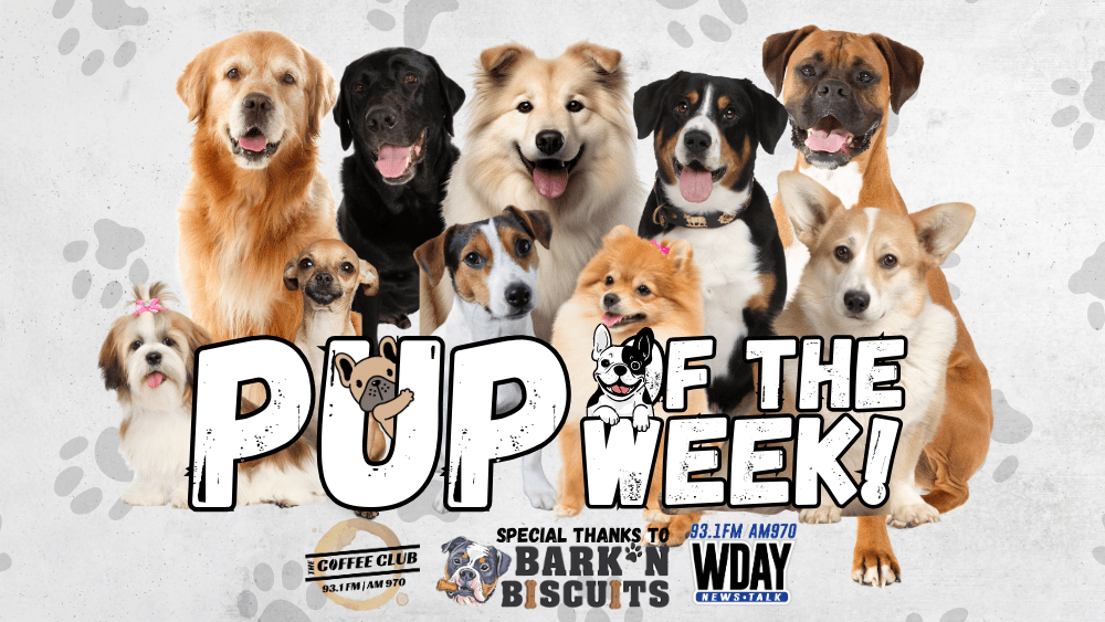 Image of several dogs and the text "Pup of the Week"