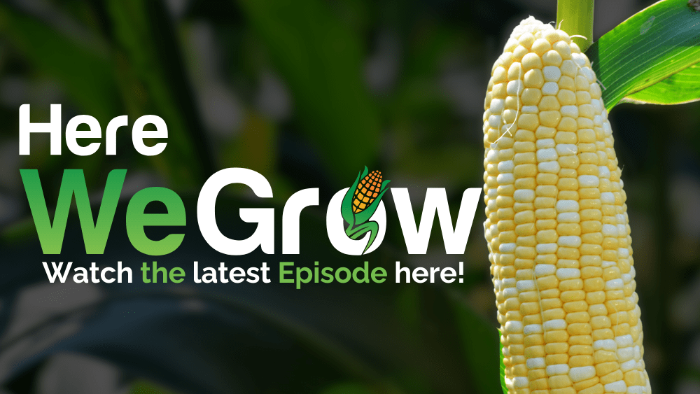 Here We Grow Watch the latest Episode here!