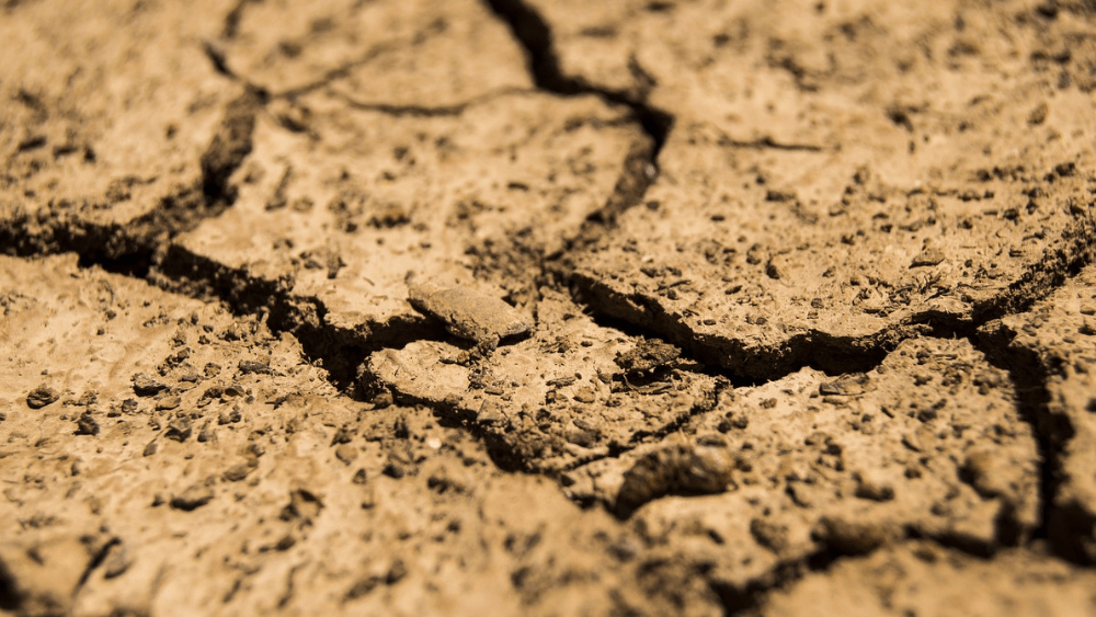 cracks in the dirt due to drought