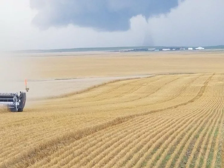 Harvest time