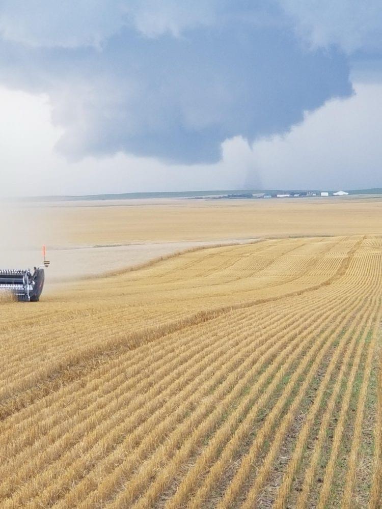 N.D. Farmers Union wants USDA’s buy-up option for prevented planting crop insurance reinstated