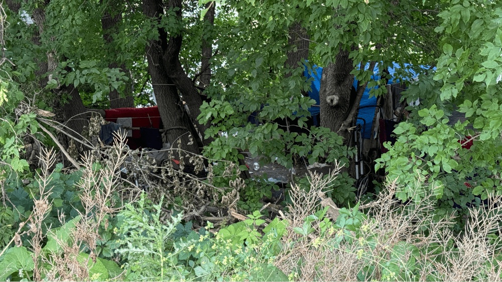 Tents and tarps inside wooded areas near the Red River in Fargo