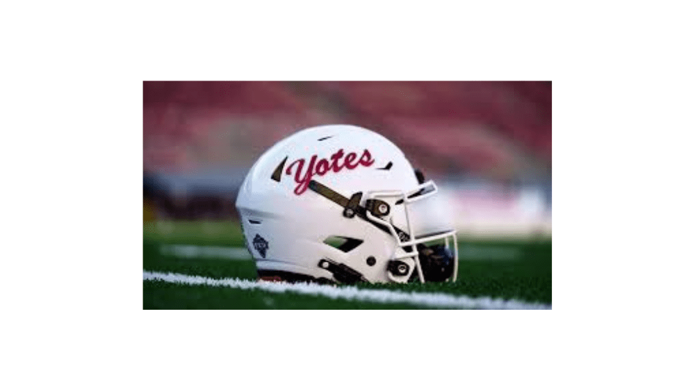 Football helmet with school masot logo on it.