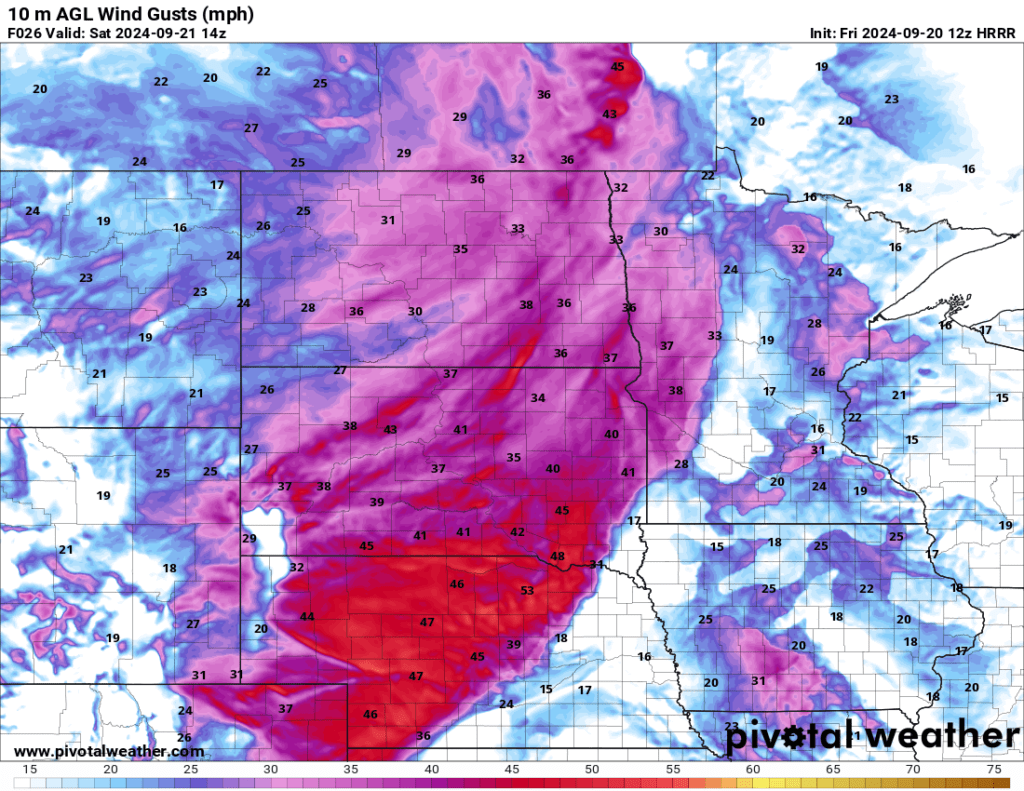 12z HRRR estimated max wind gusts Saturday morning via pivotal weather