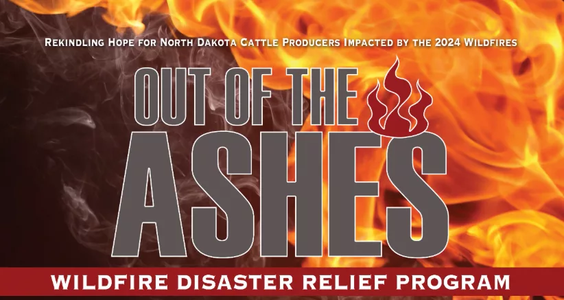 Wildfire disaster relief