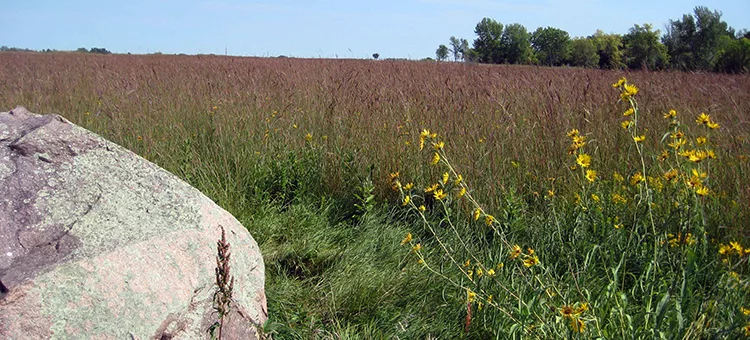 Buffalo River State Park