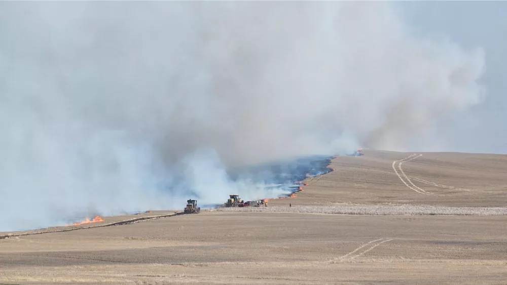 Image of a wildfire burning near New Town