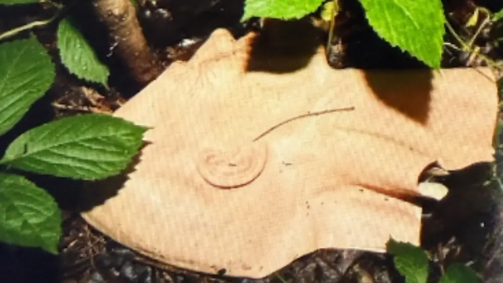 Image of recovered facemask