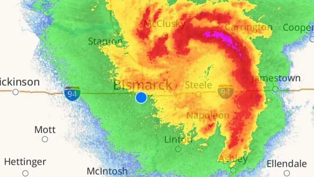 cat4