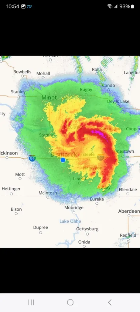 cat4