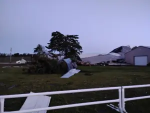 damage