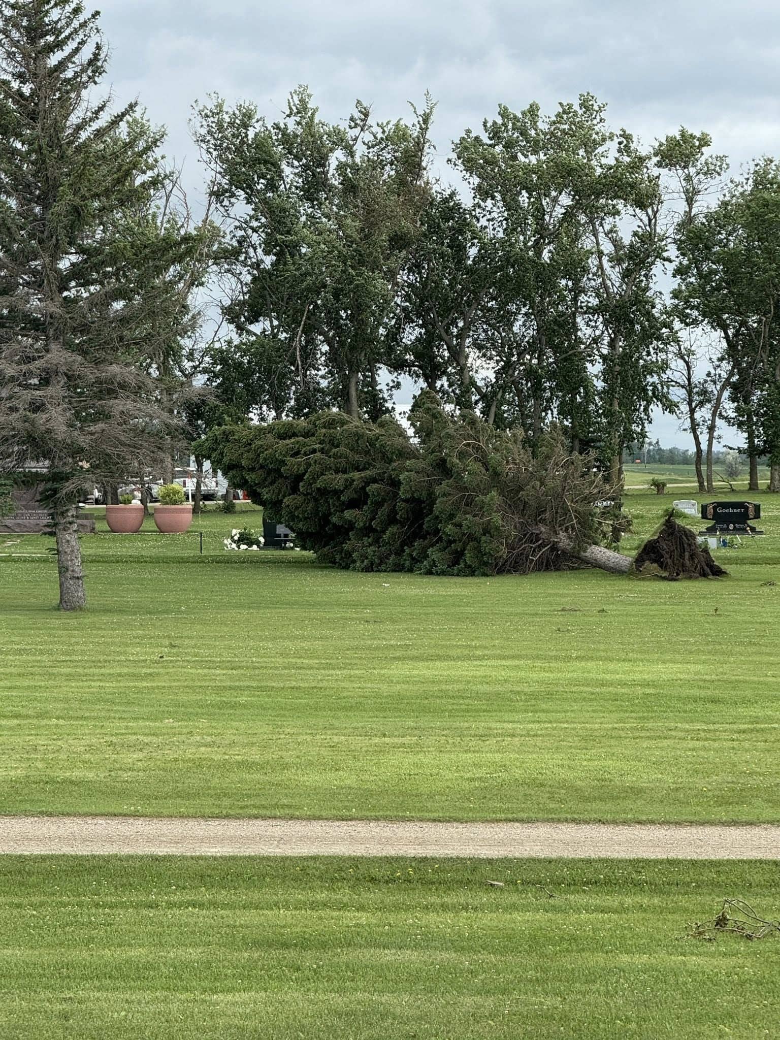 damage