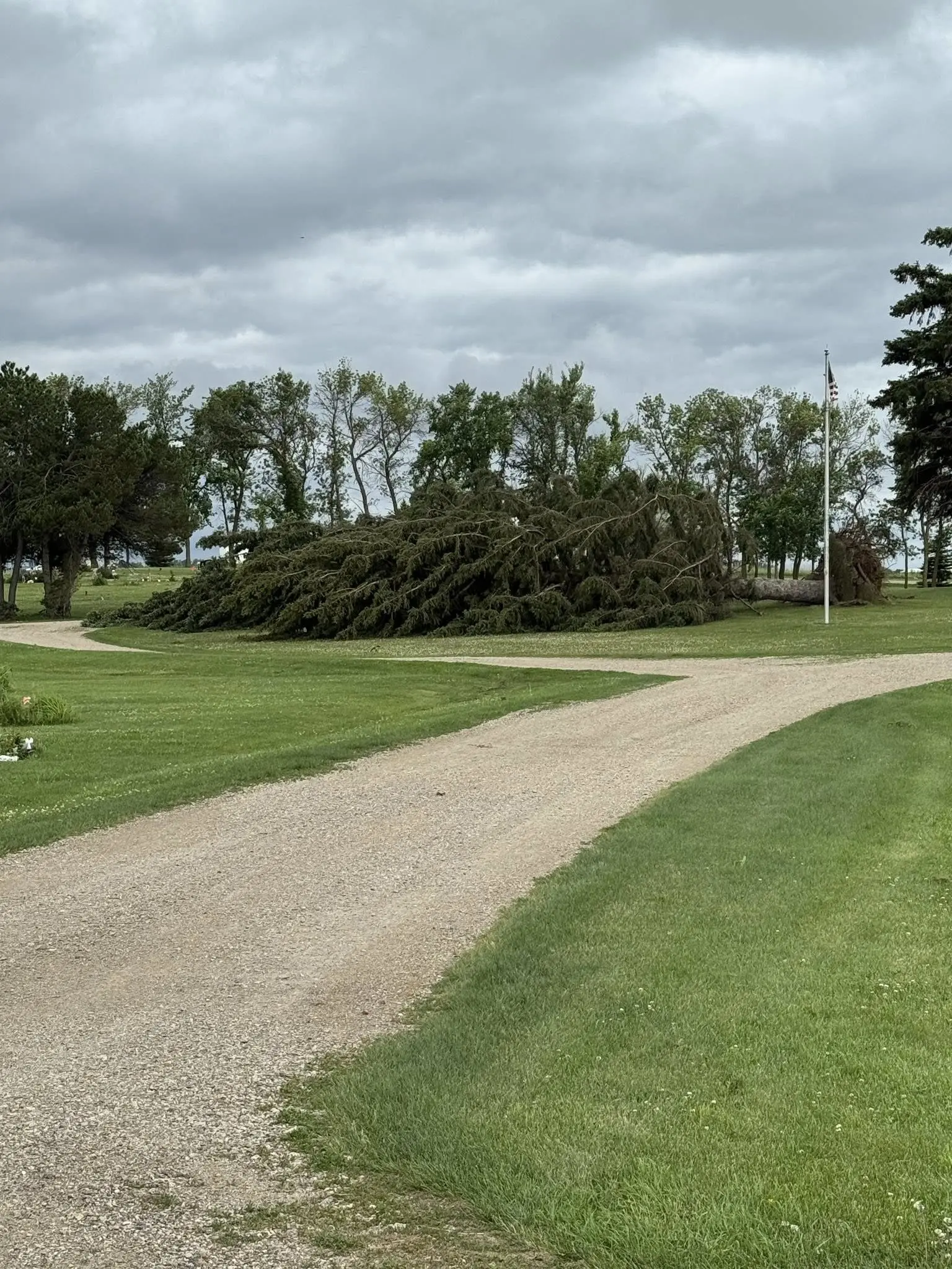 damage
