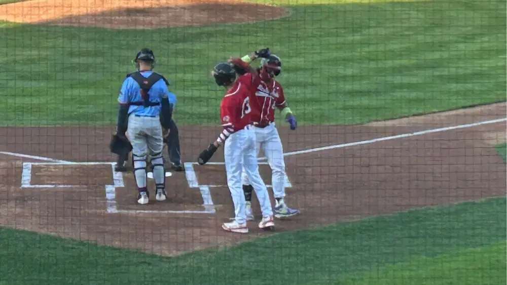 2 baseball players celebrating a home run