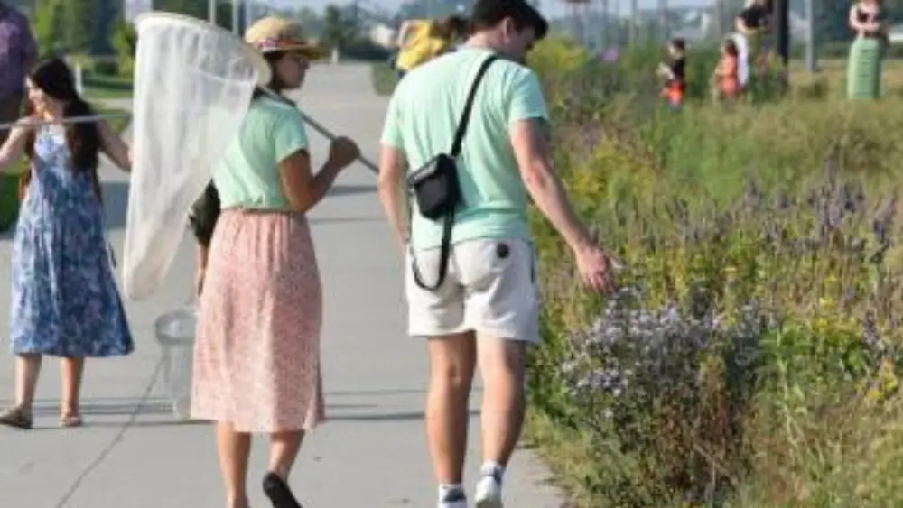 Image of people walking in a park