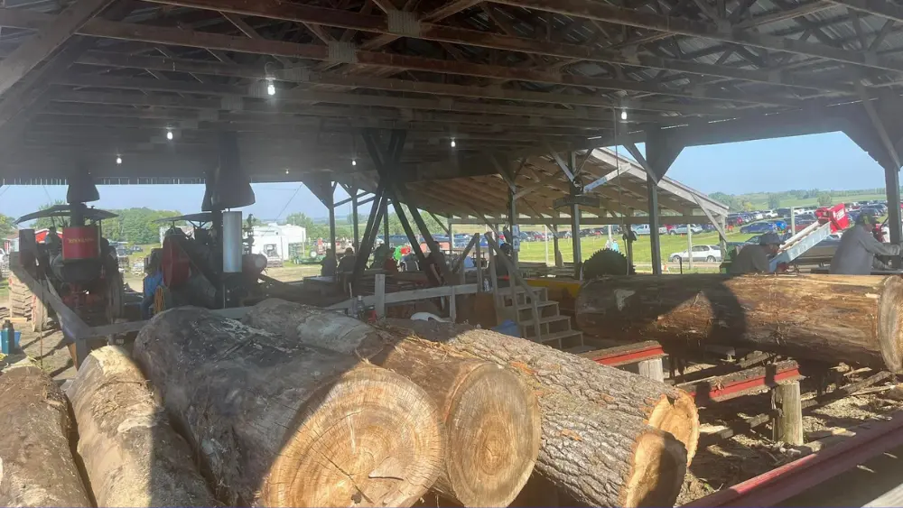 Logging