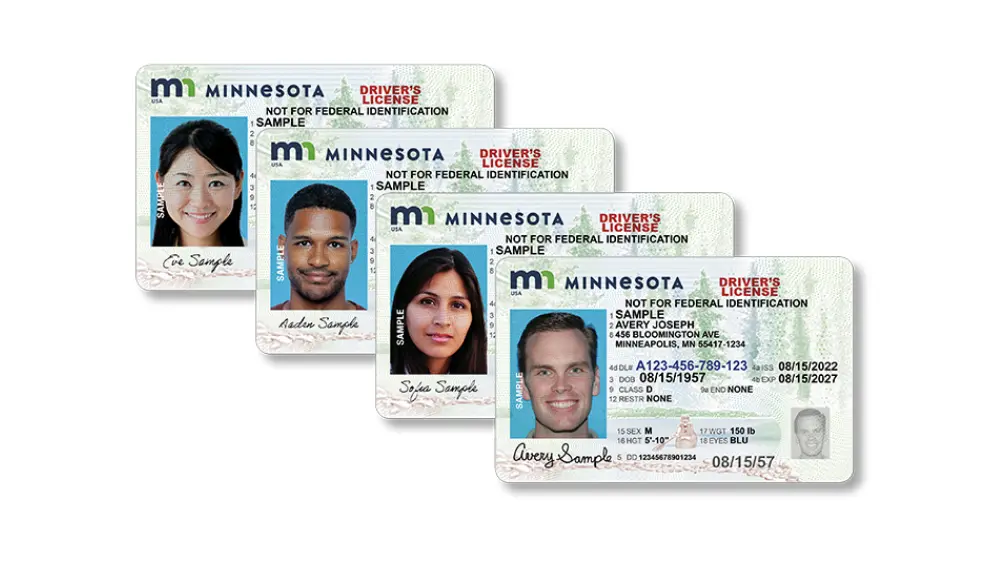 Minnesota drivers licenses
