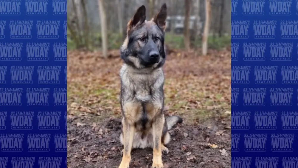 Polk County K9 Bo