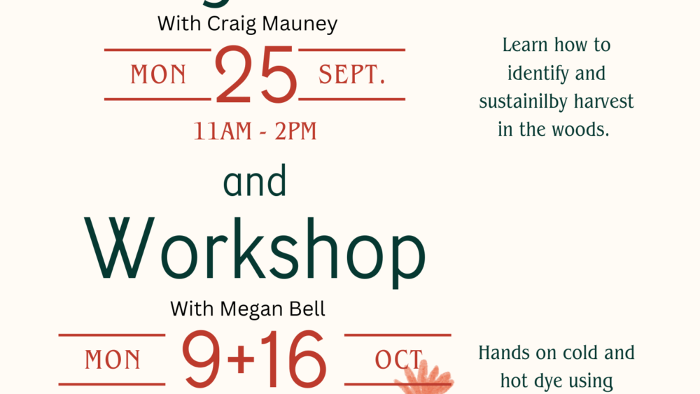 natural-dyes-forage-walk-and-workshop-2