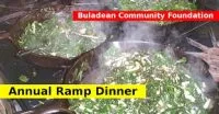 buladean-ramps-e1554830496198