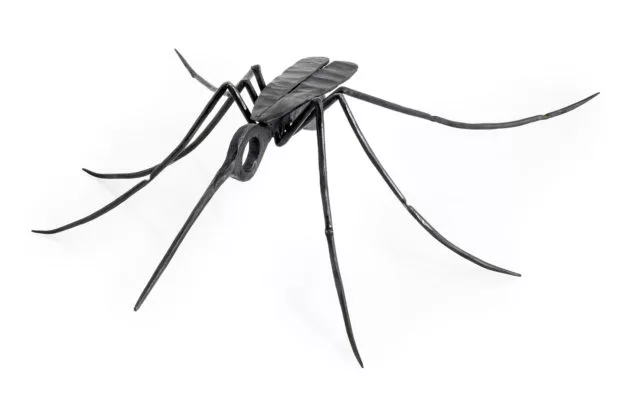 belz-bugs-2