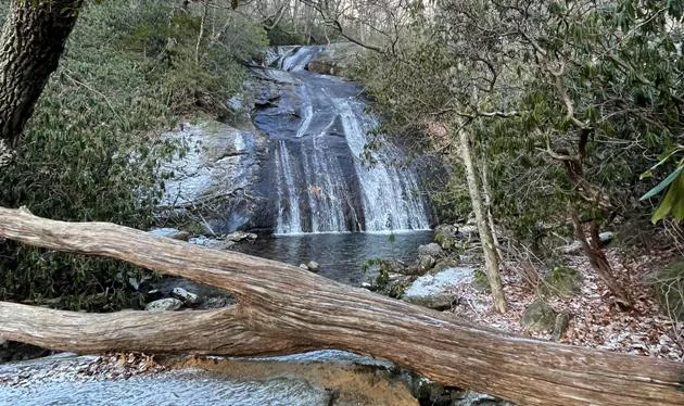 locust-falls