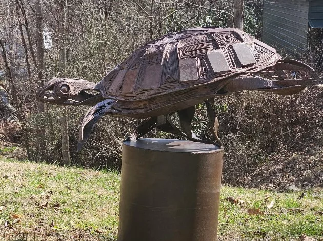 cadell-turtle2