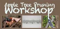 apple-tree-pruning-workshop-1024x503-e1550702420979