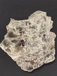 mica-e1692988434464