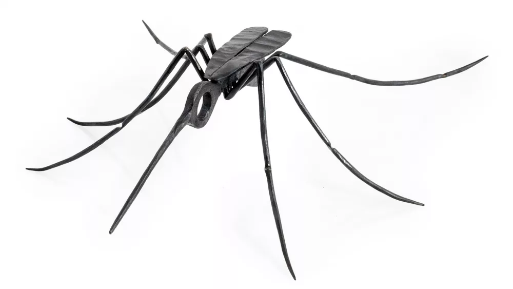 belz-bugs