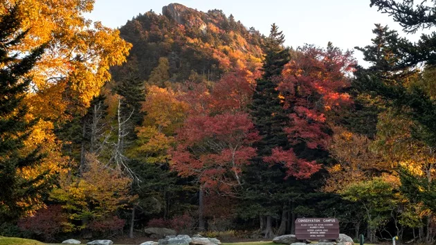 fall-color-in-2022-at-grandfather_photo-by-2skip-sickler_courtesy-of-grandfather-mountain-stewardship-foundation