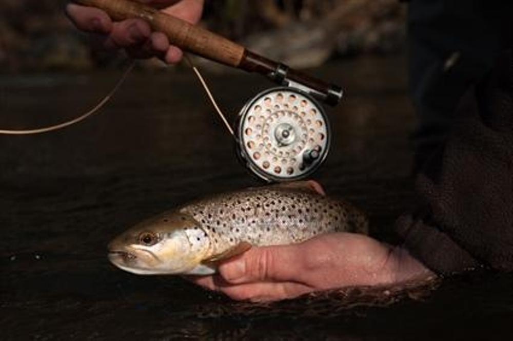 Wtoe Delayed Harvest on Trout Starts October 1st | WKYK