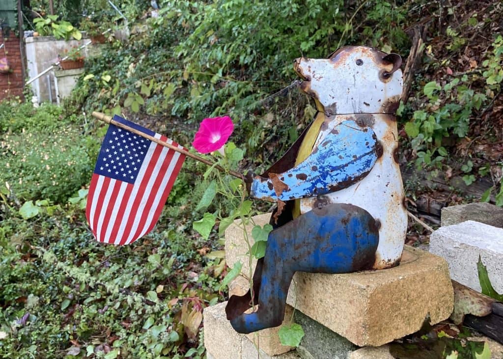 Photo by Ken Gilcrist WKYK