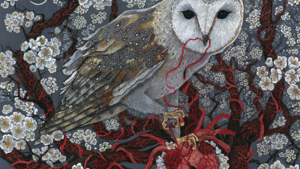 stepenie-berry-owlwoman1200x